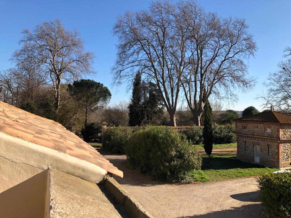 Sallèles-dʼAudeTerrasse Avec Vue Domaine Viticole公寓 外观 照片