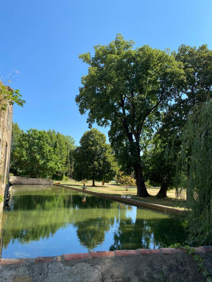 Sallèles-dʼAudeTerrasse Avec Vue Domaine Viticole公寓 外观 照片