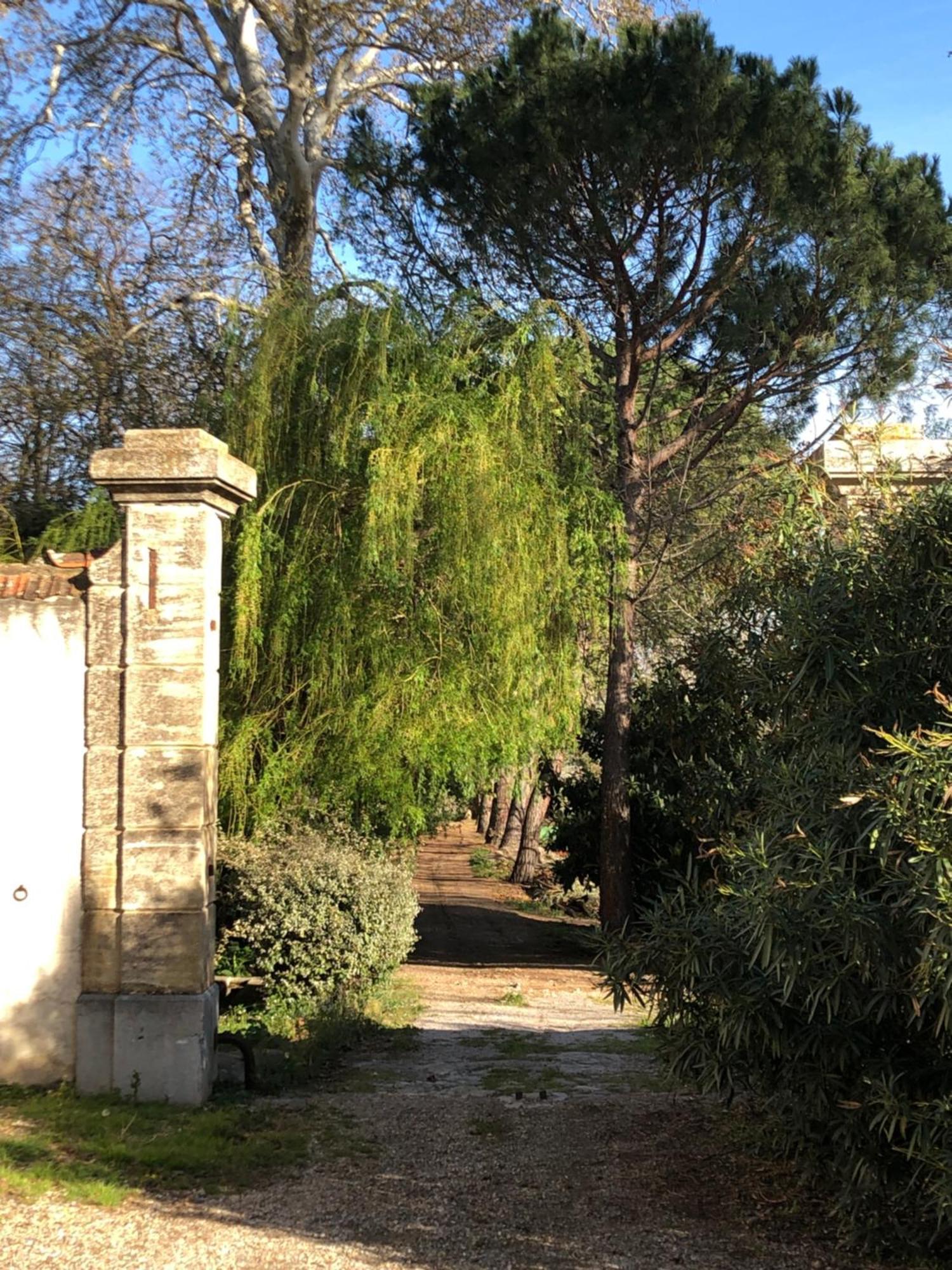 Sallèles-dʼAudeTerrasse Avec Vue Domaine Viticole公寓 外观 照片